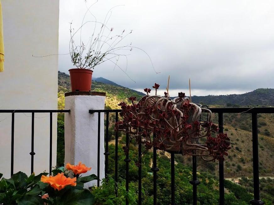 Posada Puente Romano Sedella Екстериор снимка