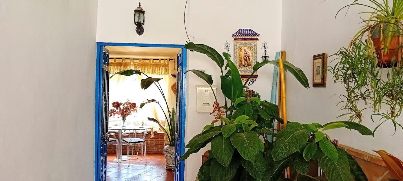 Posada Puente Romano Sedella Екстериор снимка